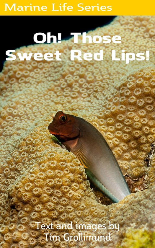 Oh! Those Sweet Red Lips! - cover