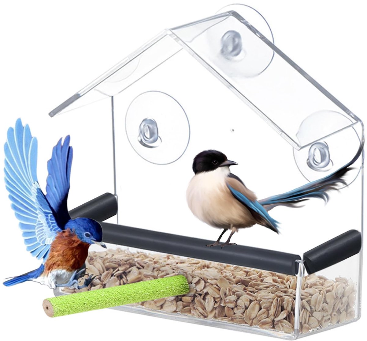 SnelShoppen - Transparant Vogelvoederhuis voor Ramen, Vogelvoederhuis met Sterke Zuignappen, Ideaal voor Wilde Vogels, Tuin en Balkon, Vogelfeeder, Du