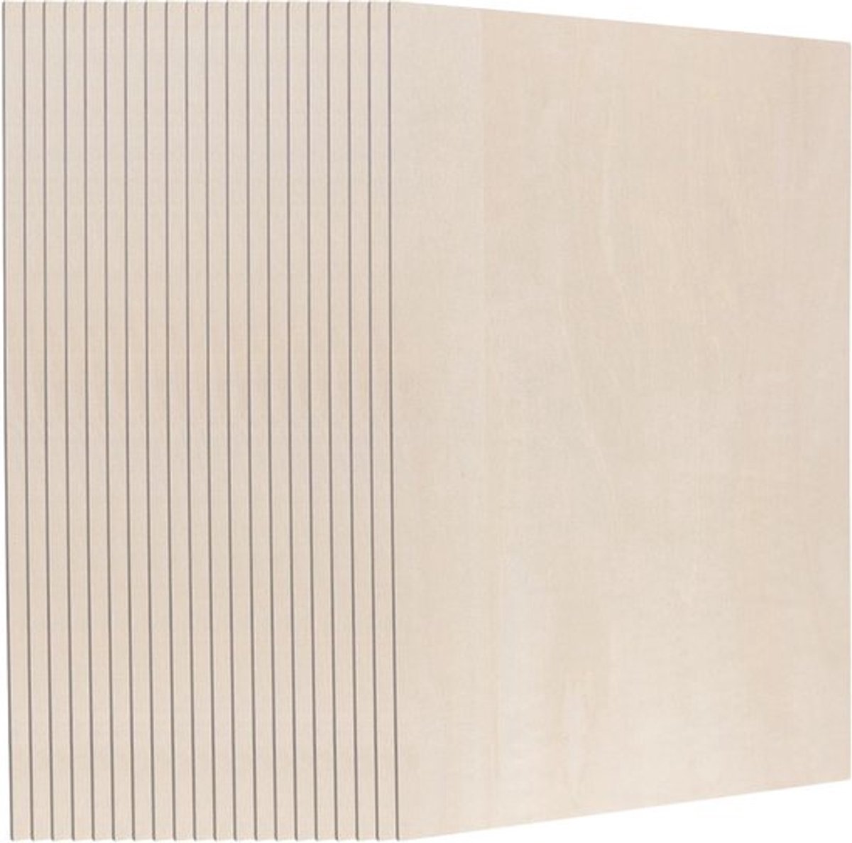 20 Stuks A4 Houten Vellen 300x210x3mm voor DIY Ambachten en Graveren