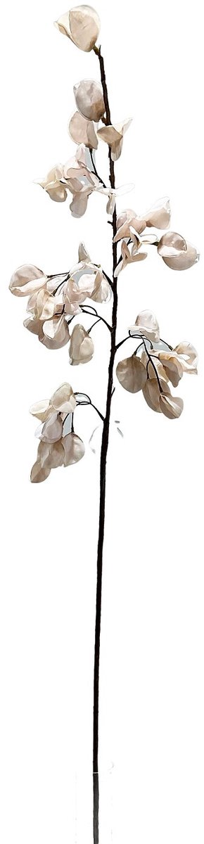 Kunst bloesemtak Koelreuteria 106cm off-white