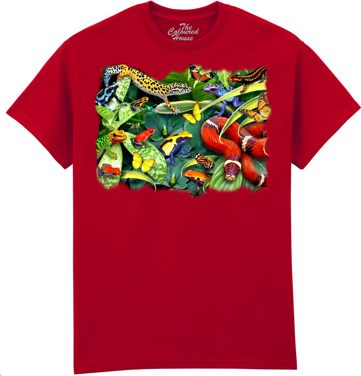 Kikkers Gecko Slang Jumpers And Crawlers The Coloured House T-shirt S