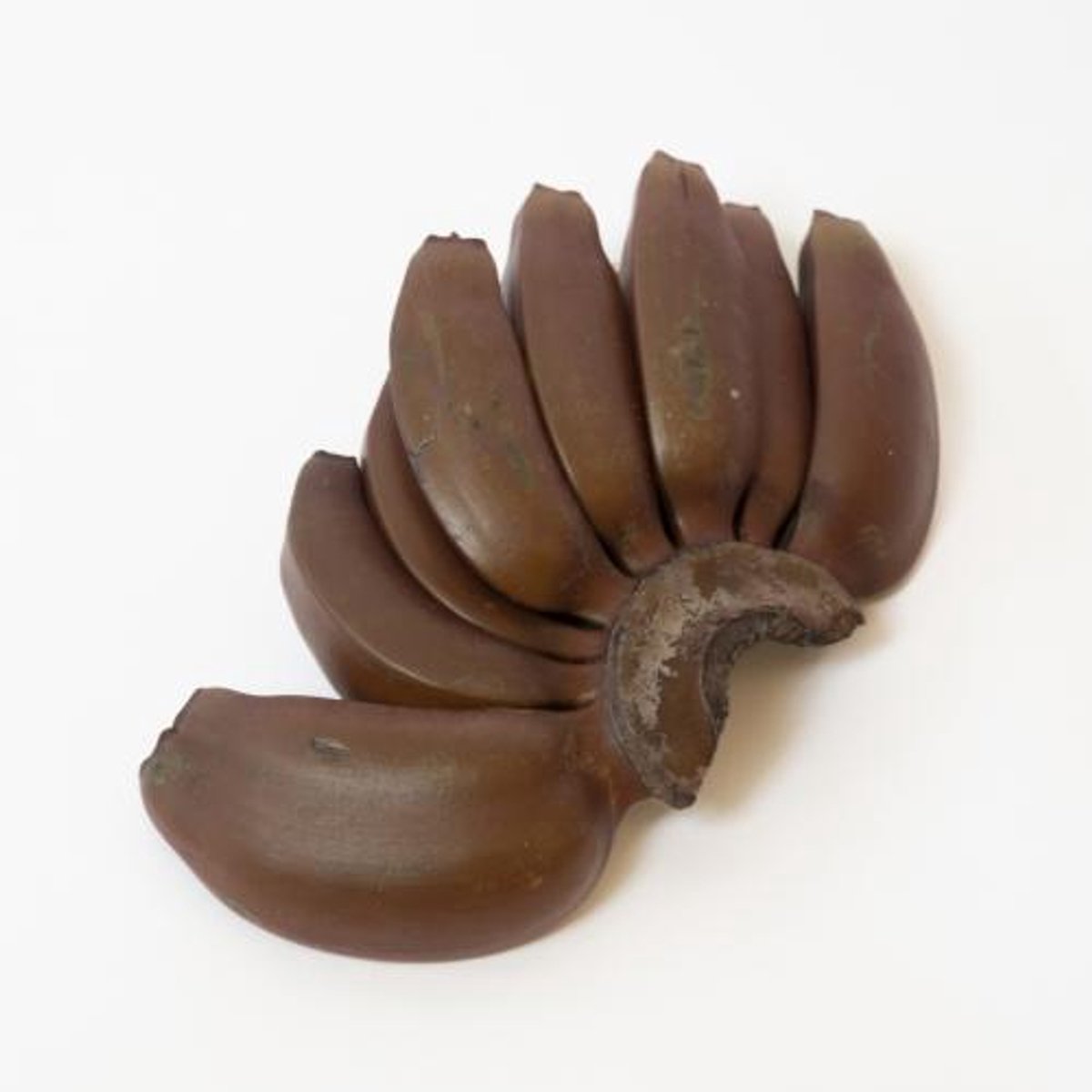 8x Musa lady fingers black 10cm