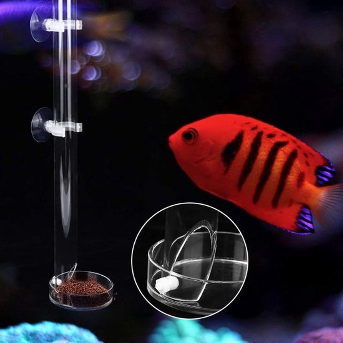 Voederbuis voor Garnalen en Vis, Decoratieve Aquarium Voederbuis met Zuignap voor Fish Food en Accessoires (40 cm)