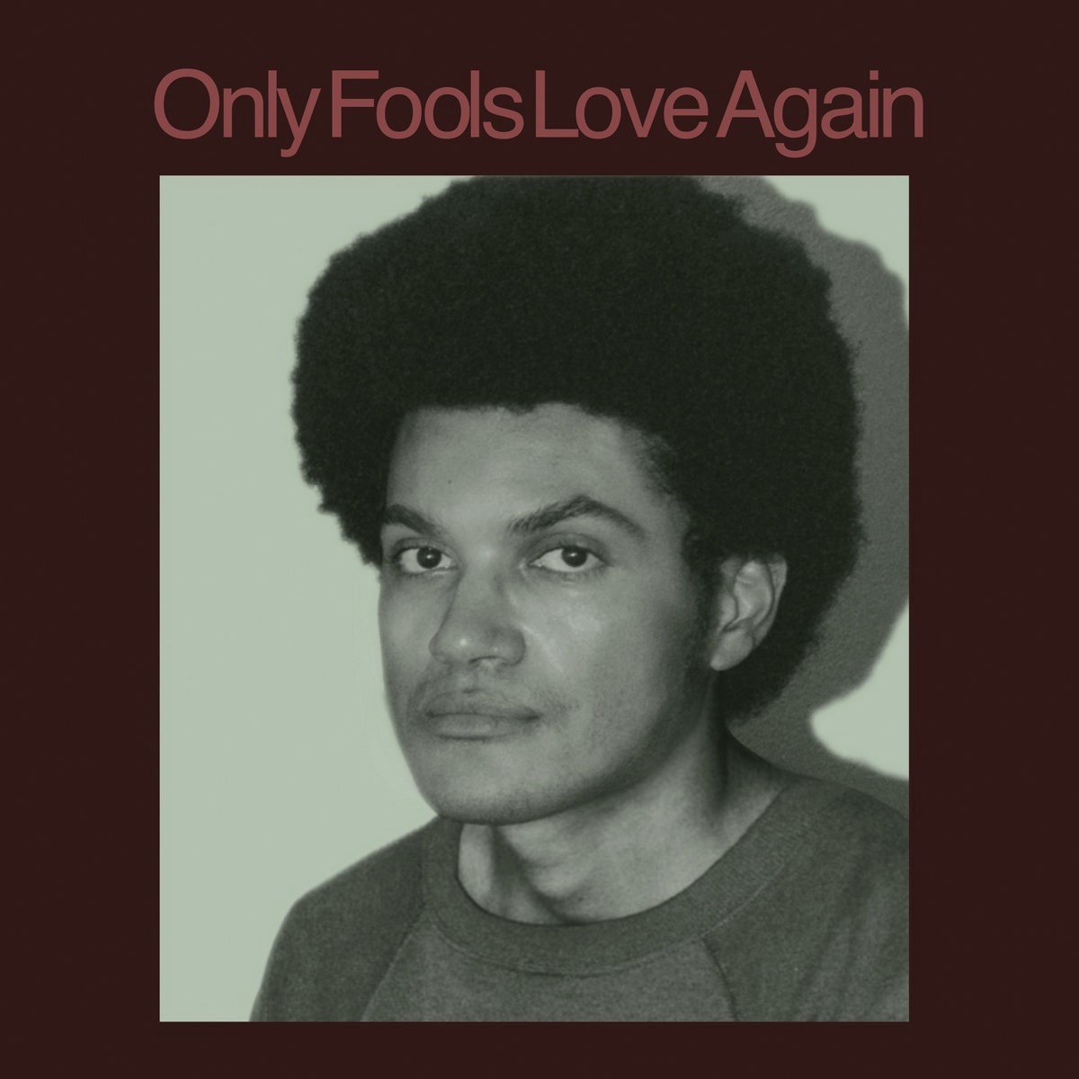 Only Fools Love Again