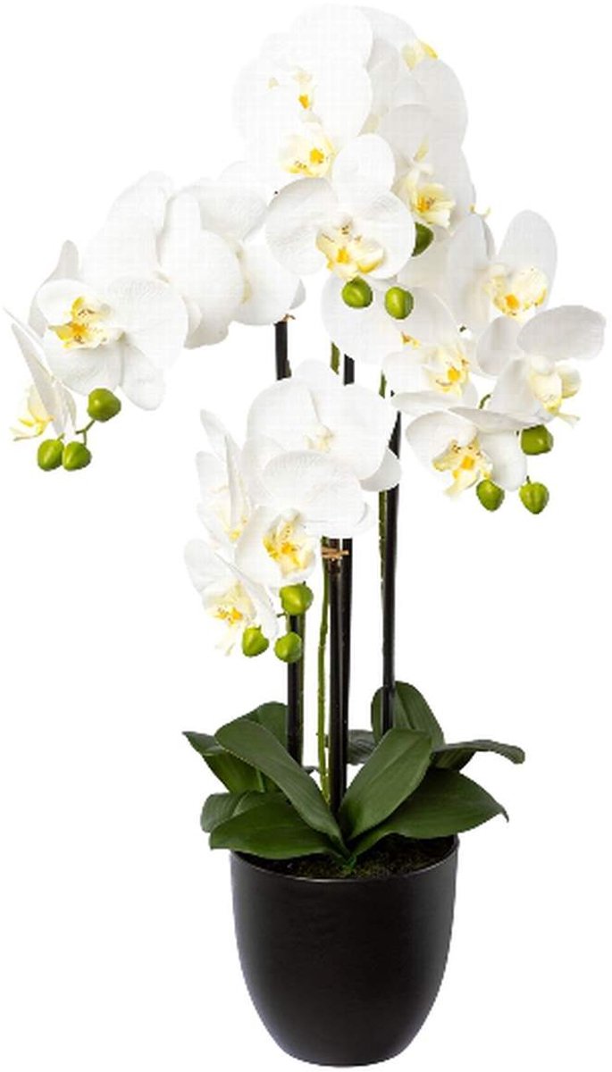 Gasper Kunstplant Vlinderorchidee Wit in pot 4 takken 69 cm