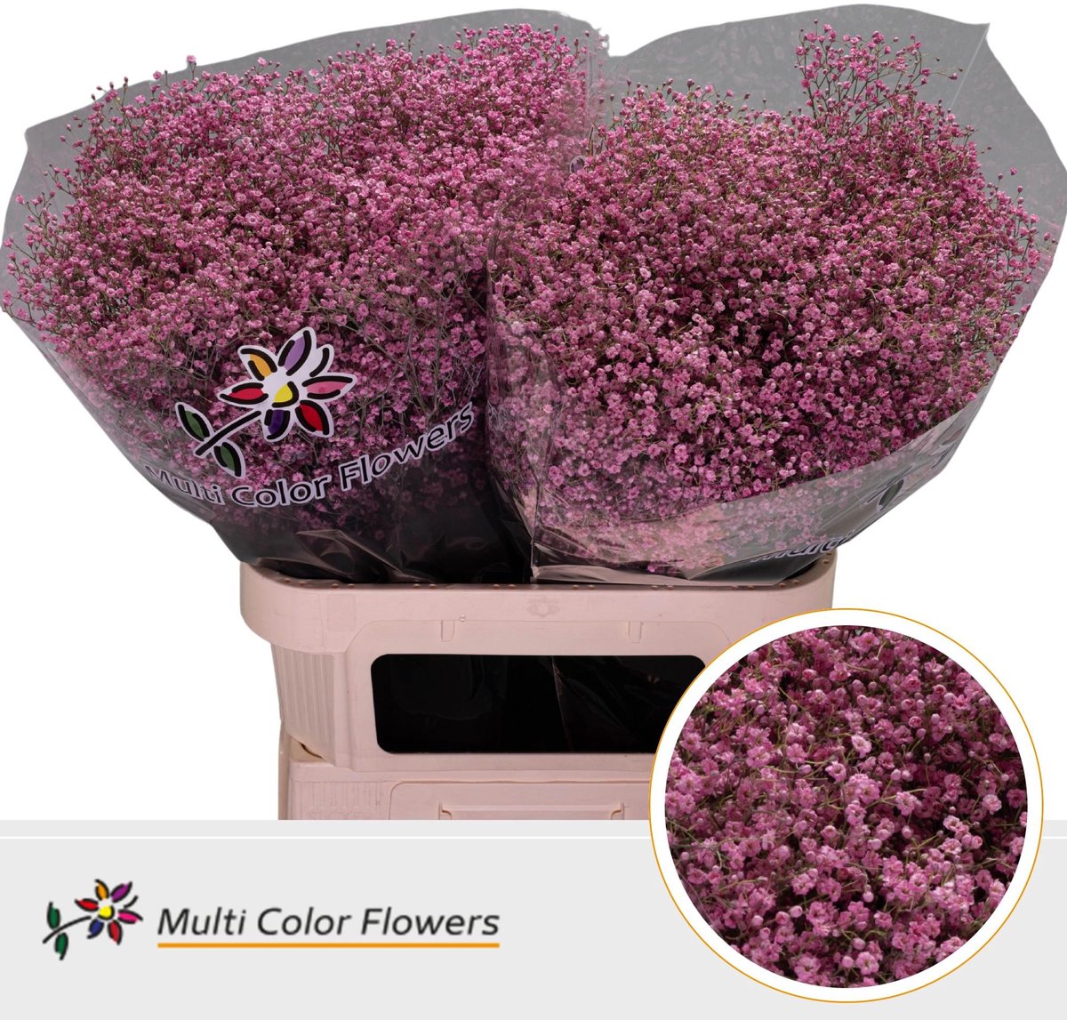 25x Gipskruid m.stars roze 80cm