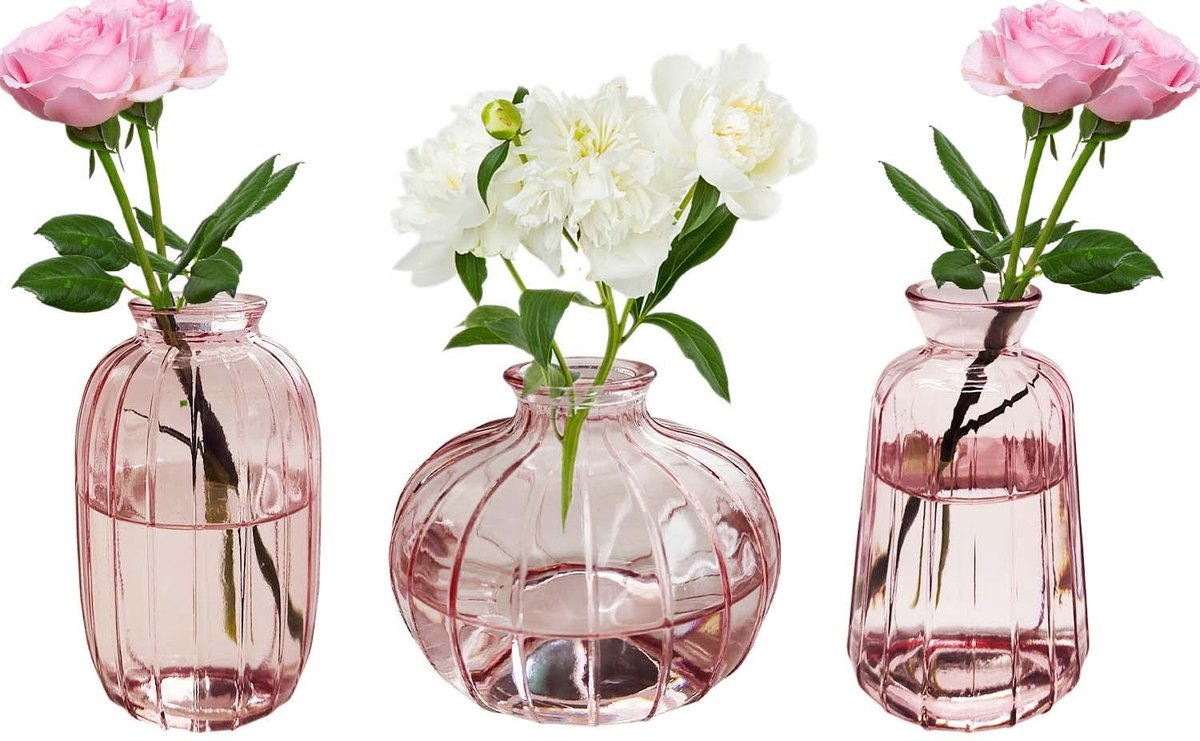 Elzusha - Set van 3 Glazen Bloemenvazen, Decoratief voor Tafel en Feestelijkheden