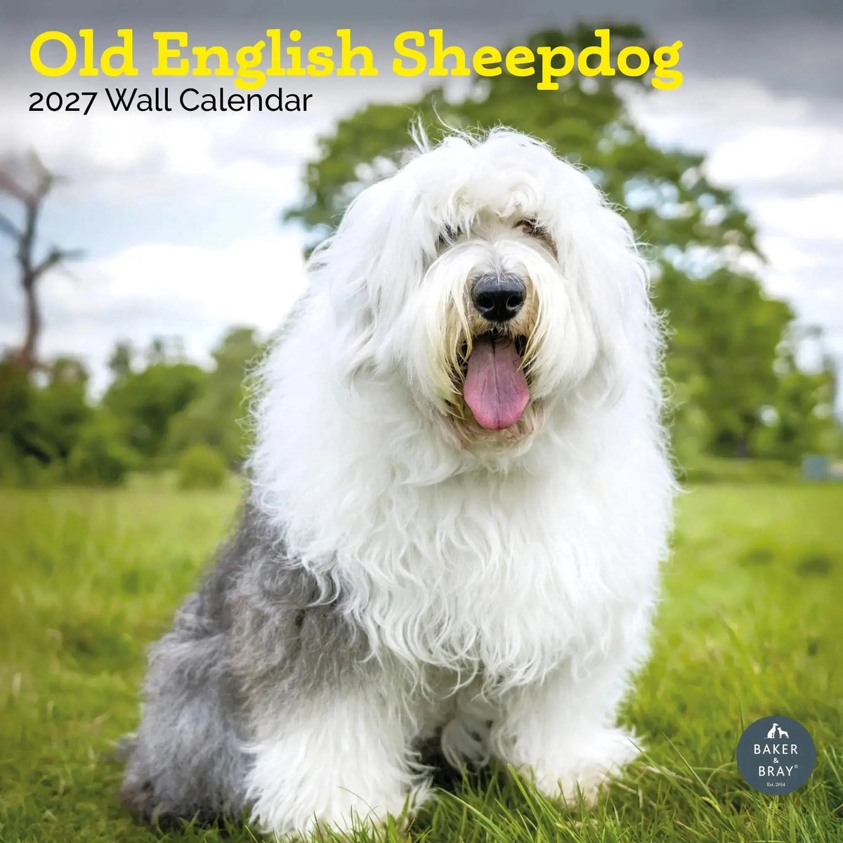 Bobtail / Old English Sheepdog Kalender 2027