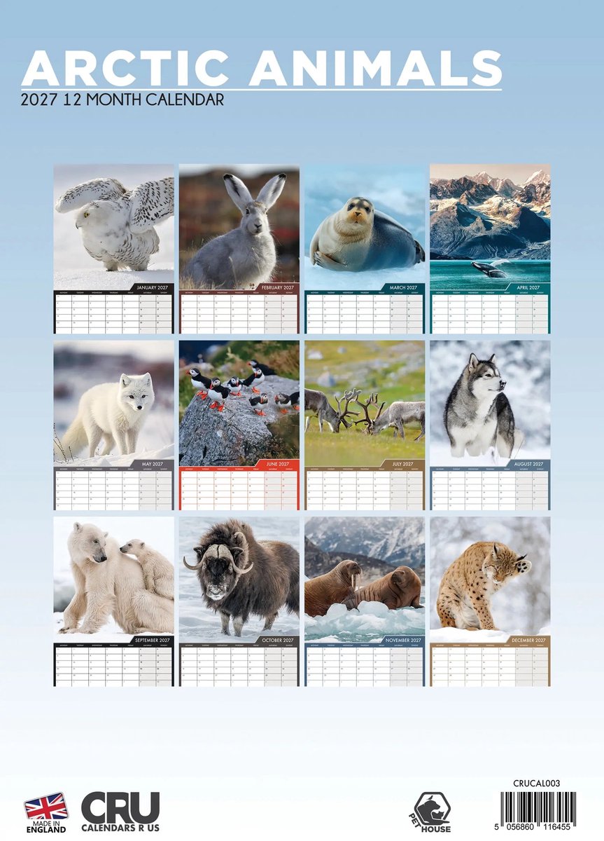 Arctic Animals A3 Kalender 2027