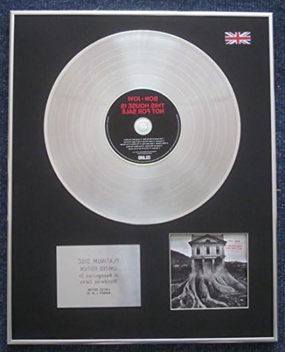 Platinum LP Disc - Muziek Memorabilia - Decoratie aan Muur - Limited Edition - 406 x 508 mm - Zilver