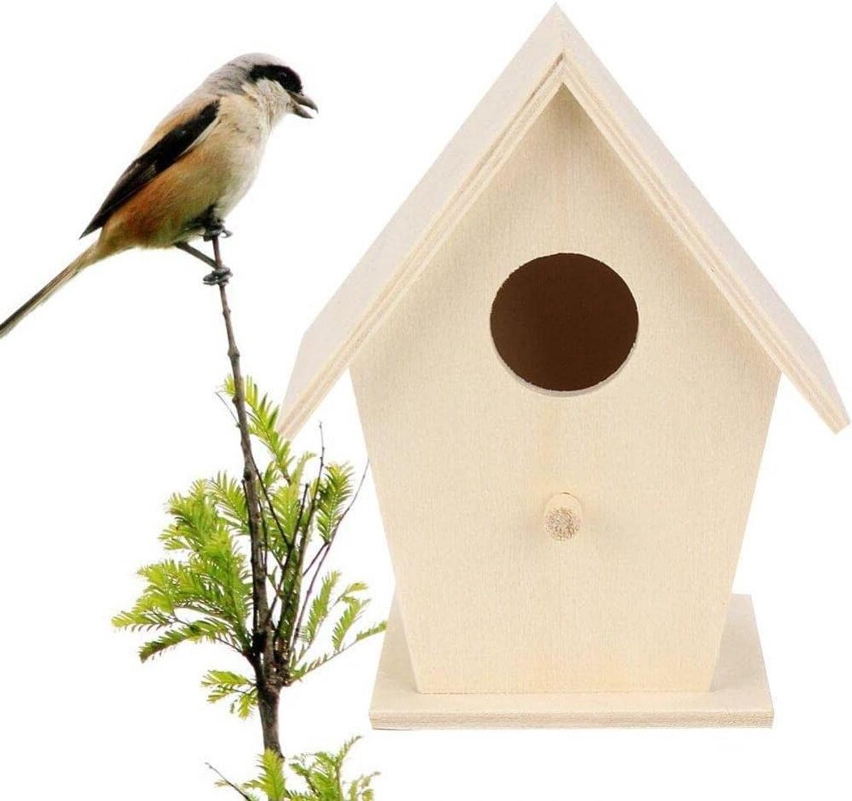 Vogelhuisje Hout - Nestkast Vogels - Vogels Laten Broeden - Natuurlijk Plataan Hout - 12 x 10 cm - Niet Gespecificeerd