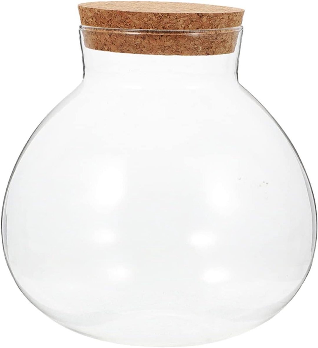 Glazen Terrarium Container - Miniatuur Tuin Fles - Planten Decoratie - Transparant Bolvormig Uiterlijk - 10x10x11 cm - Transparant
