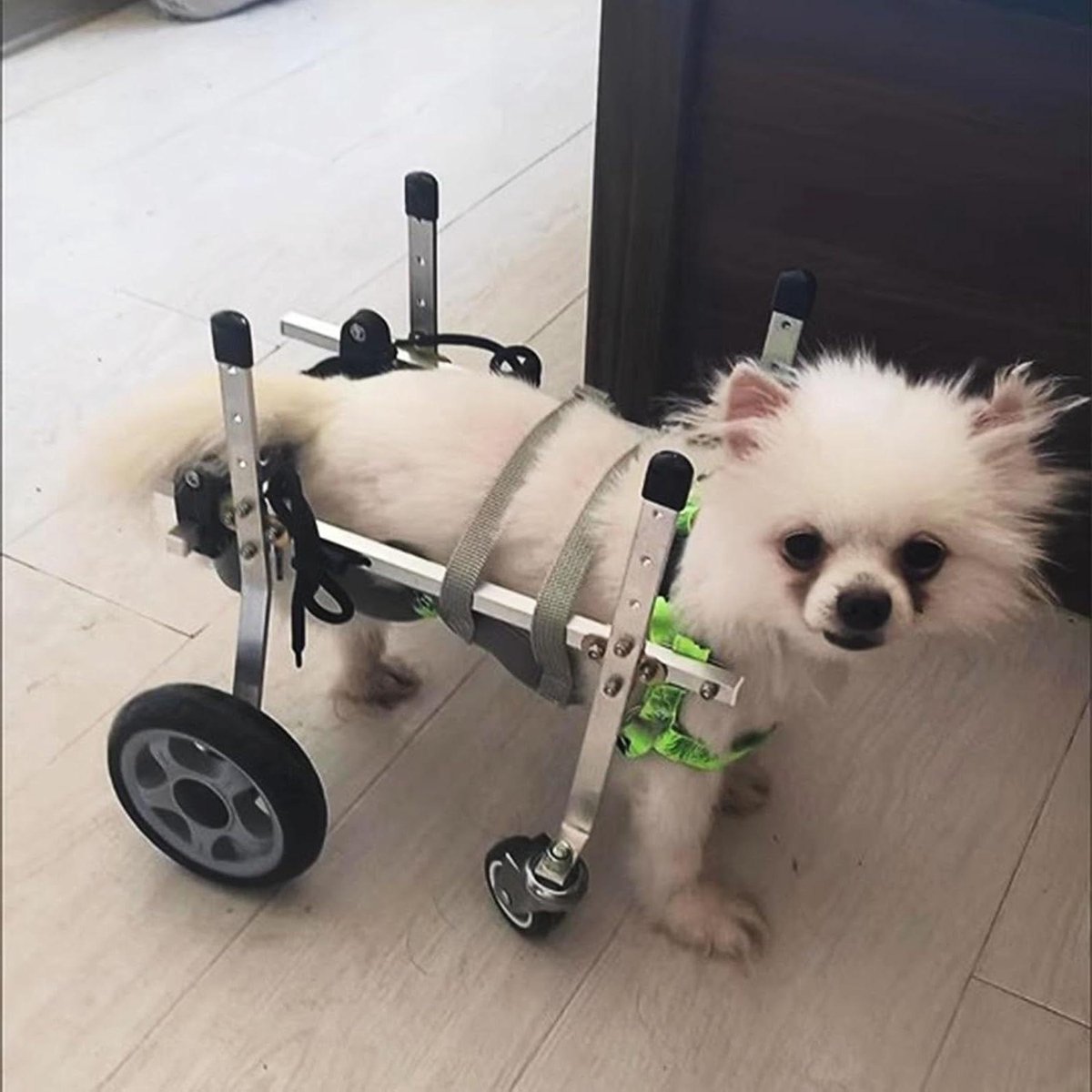 Honden Rolstoel - Mobiliteitshulp Huisdier - Ondersteuning Lopen - Verstelbaar Frame - 4 Wielen - Zilver