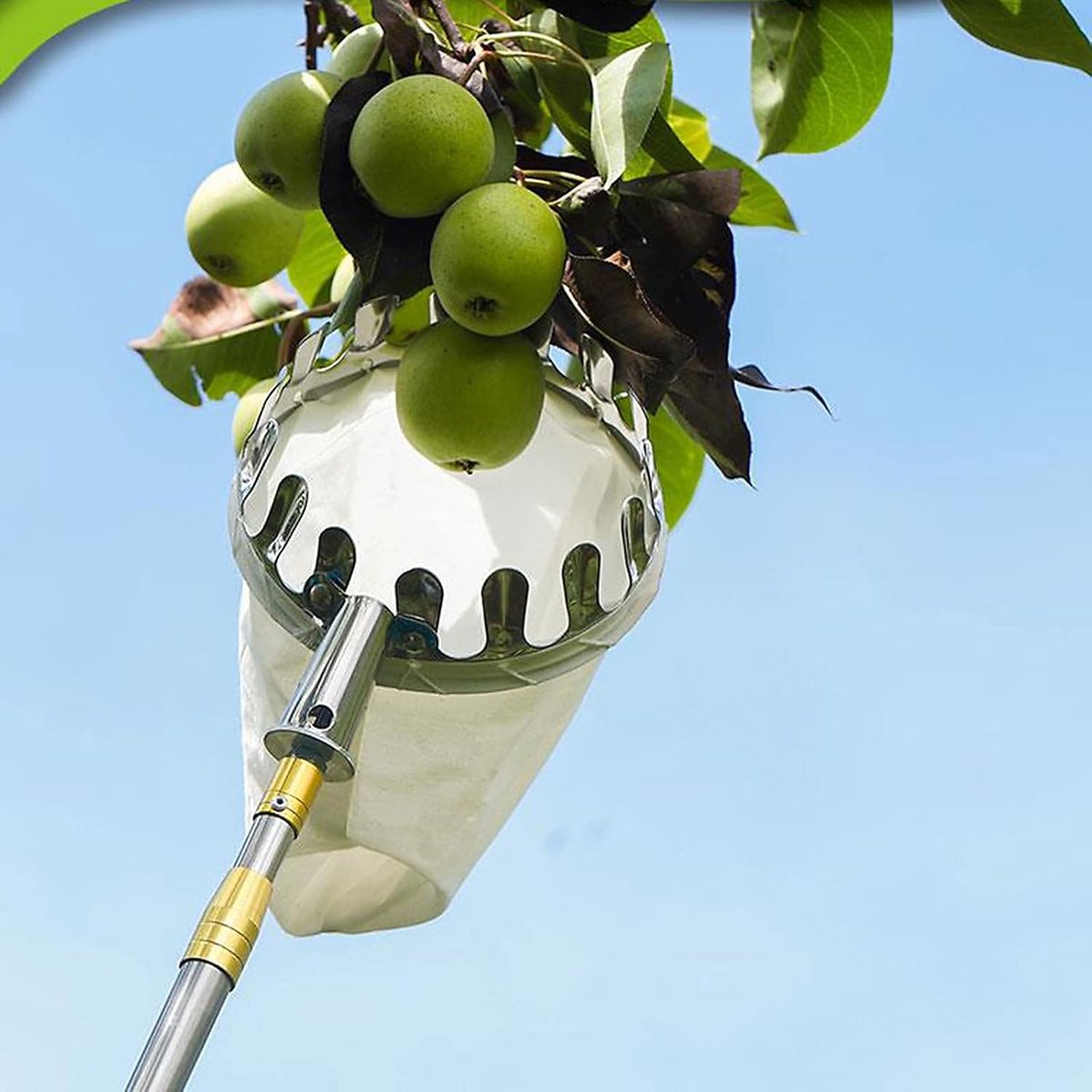 Fruitplukker Paal - Oogststok - Fruit Oogsten - Uitschuifbaar Ontwerp - 6 Meter - Zilver