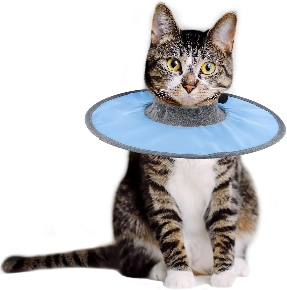 Herstelhalsband voor Katten - Polyester - Verstelbare Bescherming - Waterdicht - Voor Katten en Kittens