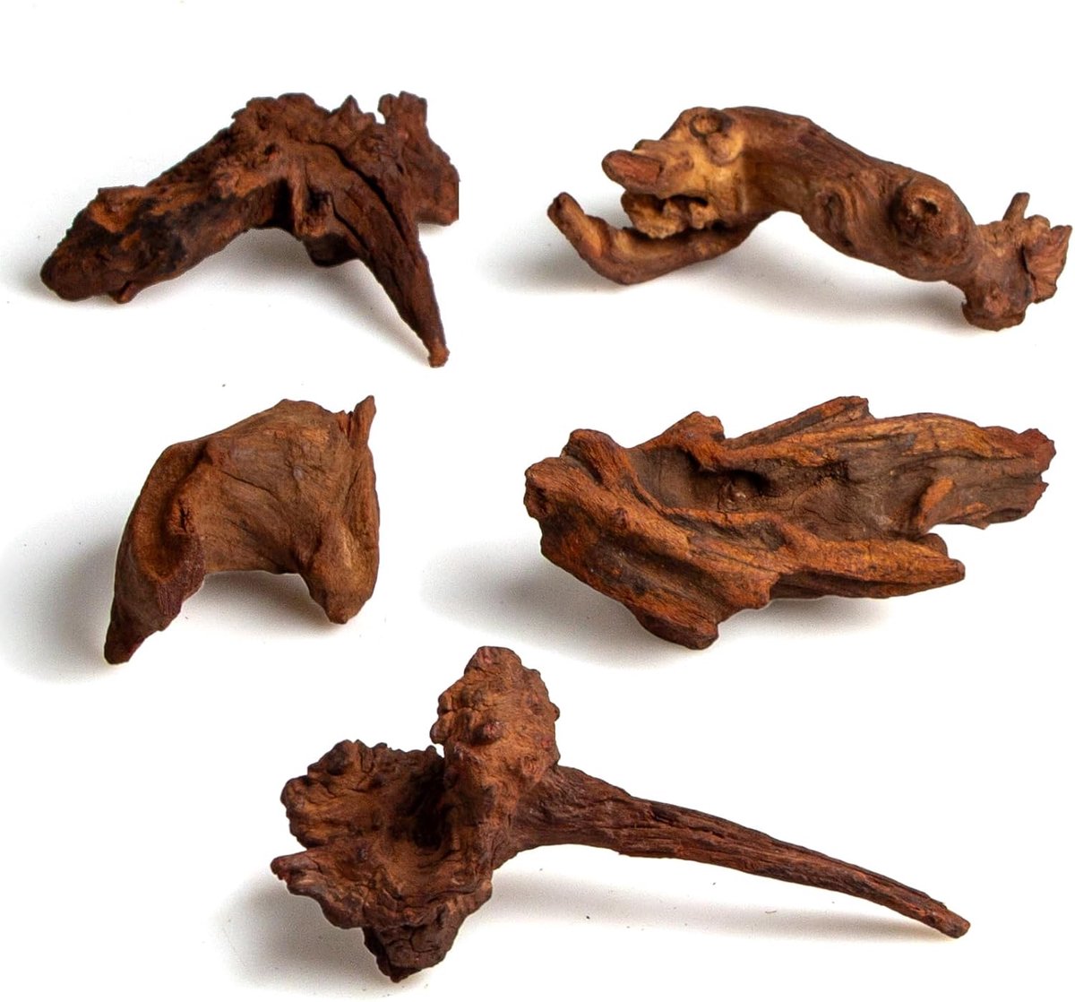 SnelShoppen - Natuurlijk Driftwood Kleine Aquarium Driftwood 117 cm, Twisted Takken, Laag Tannin, Ideaal voor Garnalen/Betta en Nano Aquascapes, 5 Stu