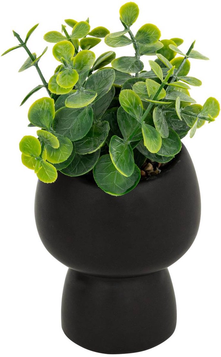 Kunstplant LIVY