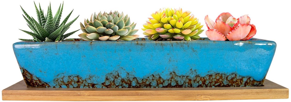 Omgoods - Moderne Ceramische Succulent Pot met Schotel 25cm voor Binnen en Buiten