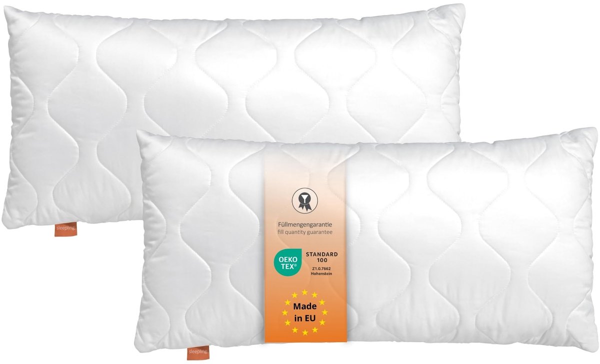 Omgoods - Set van 2 Hoofdkussens 50x75 cm Microvezel met Rits Verstelbaar
