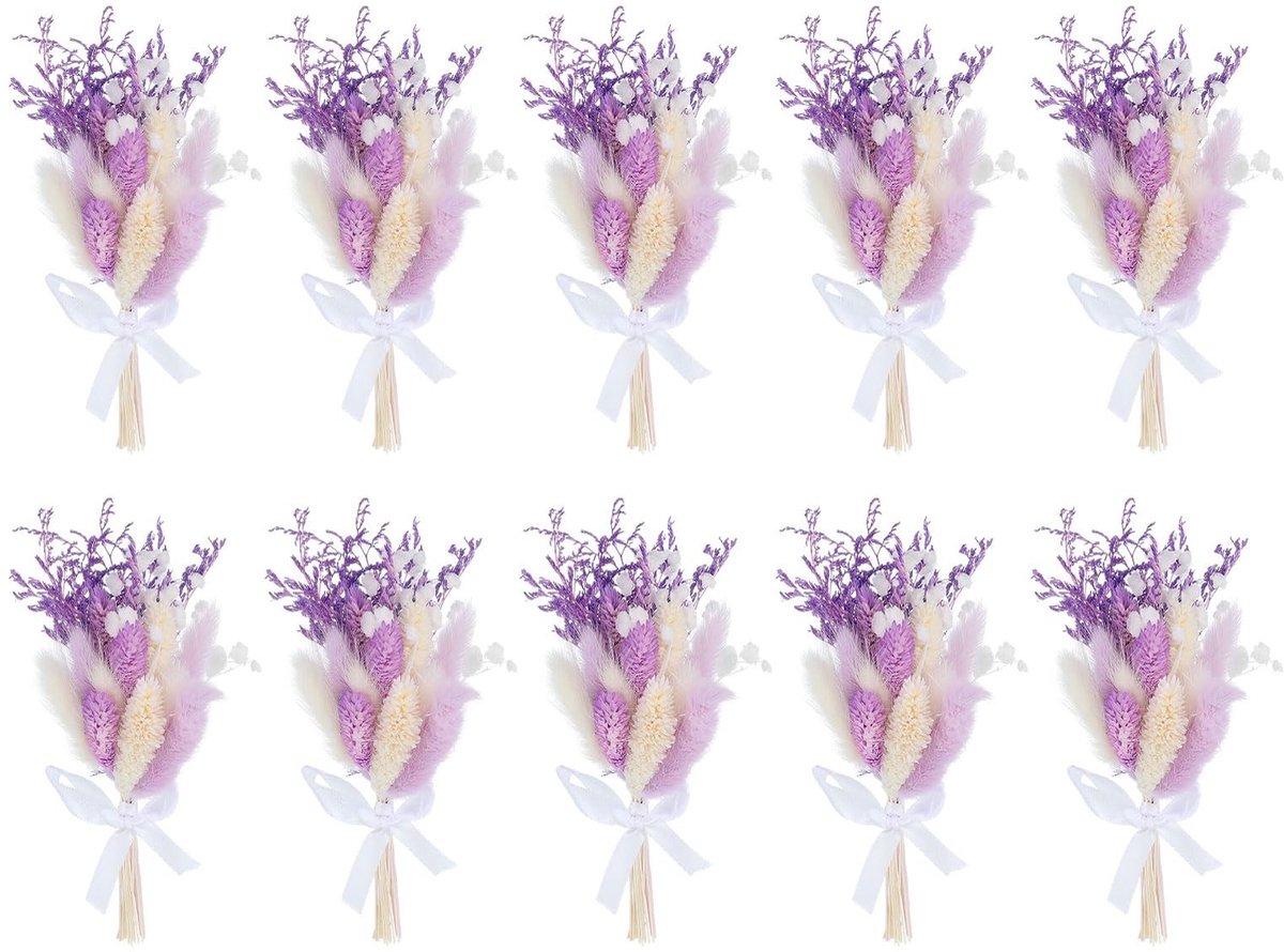 Omgoods - Mini Droogboeket met 10 Stuks Pampas Gras en Gypsophila