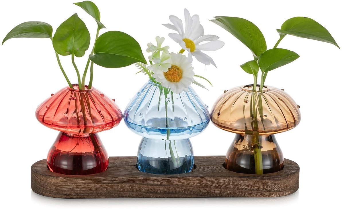 Omgoods - Set van 3 Glazen Vazen met Houten Basis voor Planten