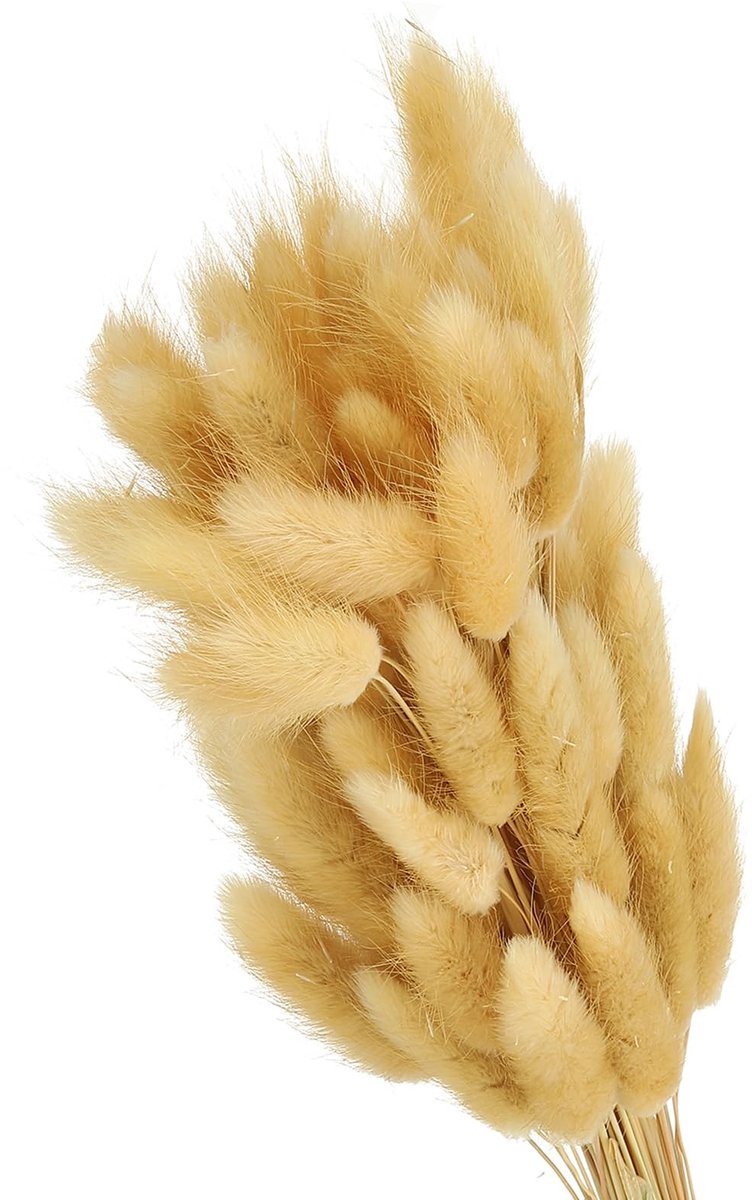 Omgoods - Natuurlijke Droogbloemen Konijnenstaarten voor Woondecoratie