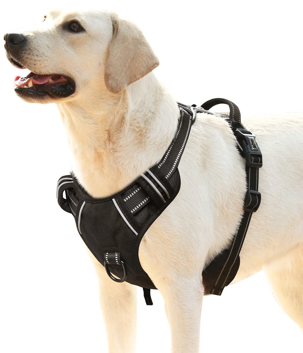 Omgoods - Hondentuig voor Grote Honden, Verstelbaar en Reflecterend, Zwart, L