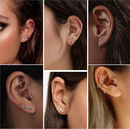 Oorbellen voor Vrouwen Hypoallergeen Helix Piercing Sieraden Kraakbeen Chirurgisch Staal Oorbellen Set Tragus Conch Neus Piercing Lip Neus Ring 16G — afbeelding 3