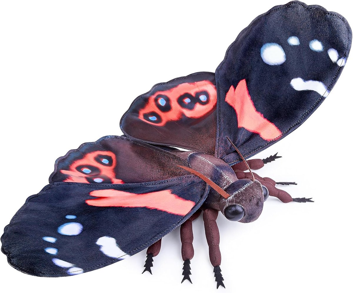 lilizzhoumax Rode admiraal knuffeldier, realistische vlinder, pluche mooi dier, schattige en zachte cadeaus voor kinderen, jongens en meisjes, 28 cm, zwart