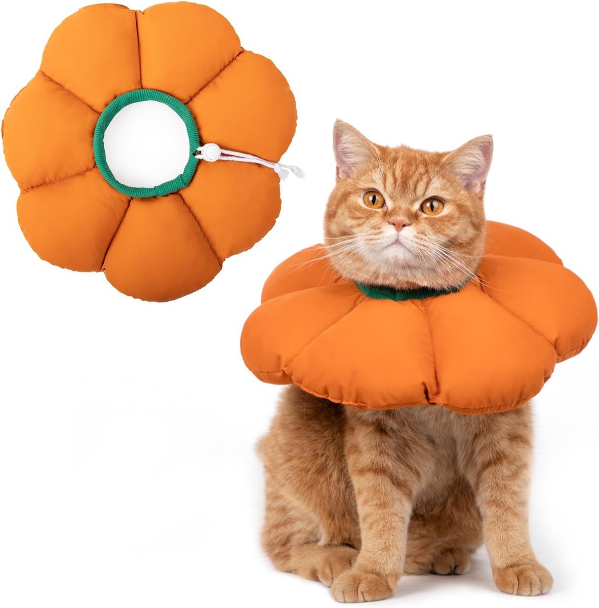 kegelkraag zacht, schattige verstelbare waterdichte kat herstelkraag, anti-bijt likken wond genezing veiligheidskegel voor katten, pompoen oranje bloem alle seizoenen stijl (M)