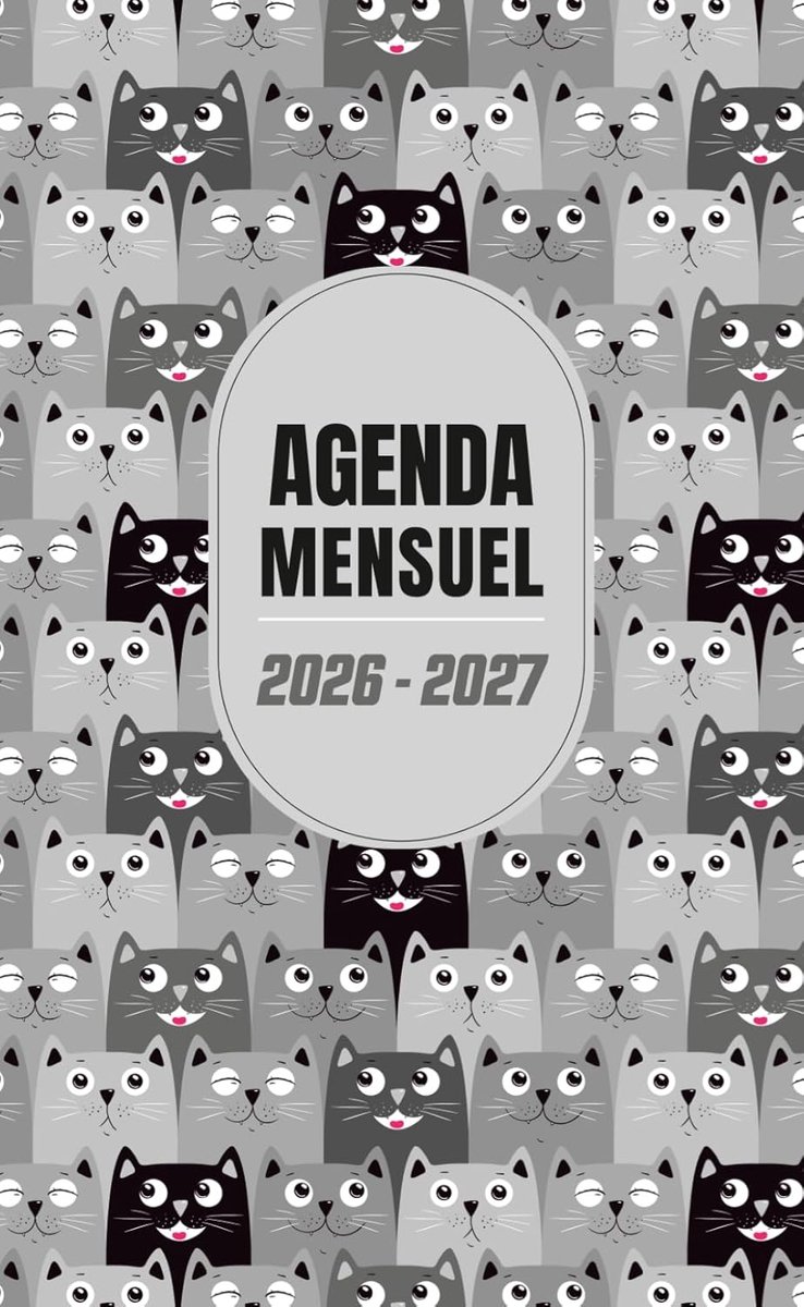 SnelShoppen - Agenda de Poche Mensuel 2026-2027 | Planificateur 24 Maanden | Kalender van Januari 2026 tot December 2027 | Dieren Thema 'Chats' | Comp
