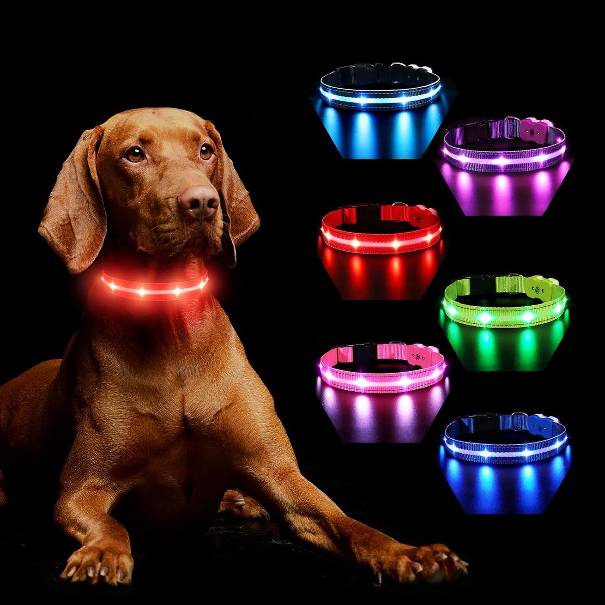 Hondenhalsband LED Luminous S - 7 Kleuren - Oplaadbaar - Hoge zichtbaarheid tot 500 meter - ShopVlot