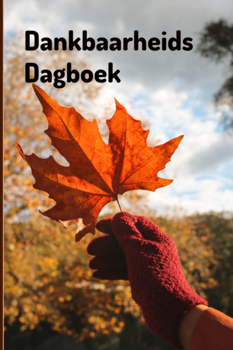 Dankbaarheidsdagboek: Een mindfulness-dagboek om meer uit je leven te halen: "een coach in de vorm van een boek''