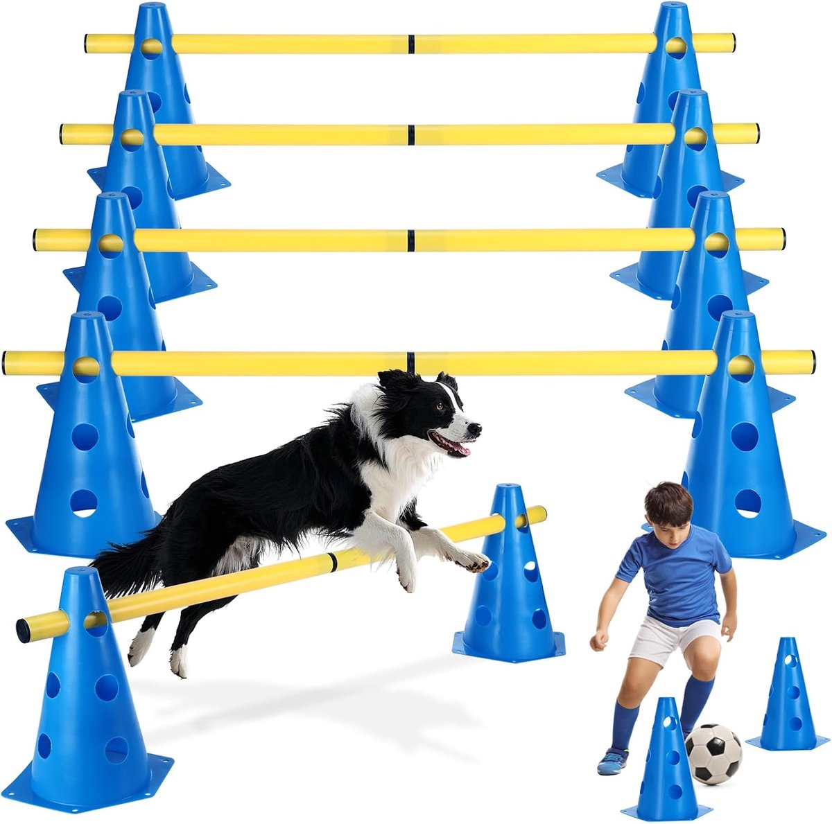 Behendigheid set honden