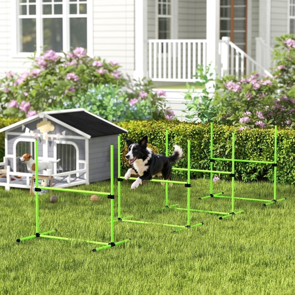 REDOM- Honden agility set - Verstelbare hindernissen met 4 horden - Slalomfunctie - Draagtas - Plastic - Groen - 99 x 65 x 94 cm