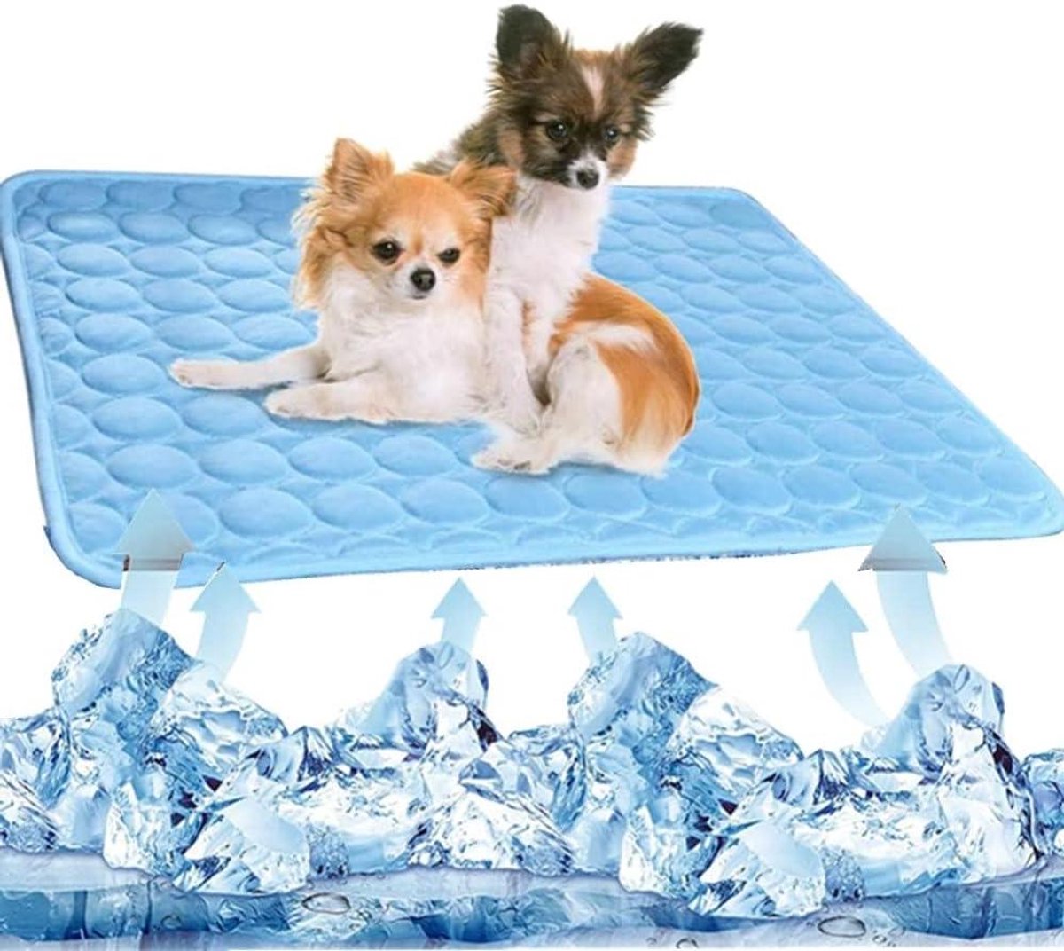 Huisdier Koelmat - Hondenmat Kattenmat - Verkoeling Zomer - Zelfkoelend Ademend - 70 x 55 cm - Blauw