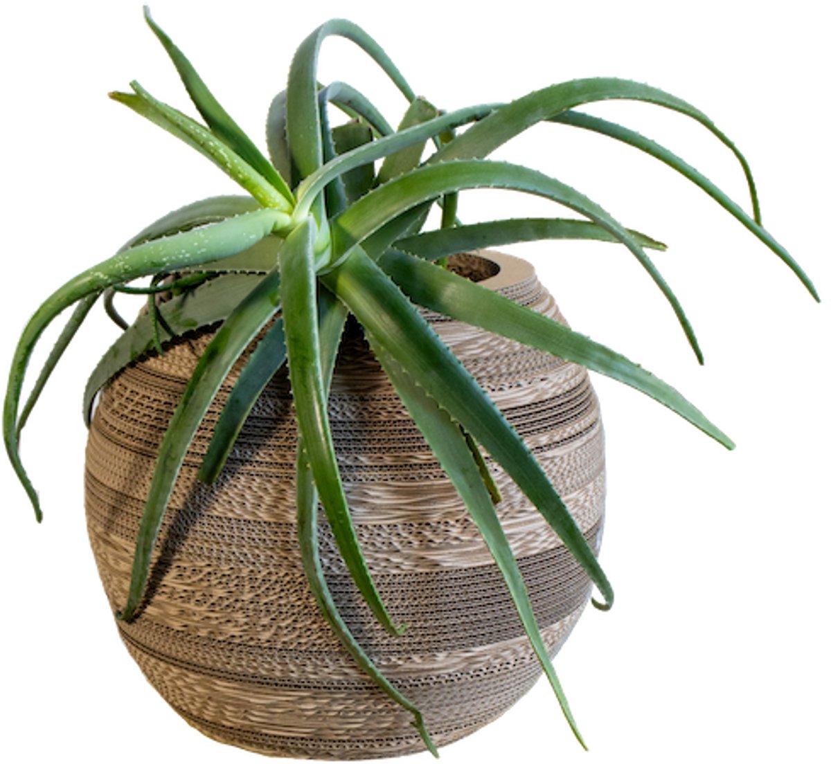Kartonnen plantenpot yucca - Diameter 40 cm - Kartent
