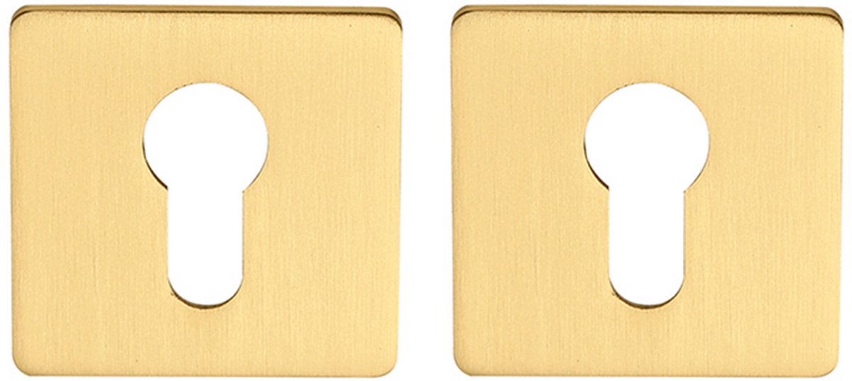 Cilinderrozet vierkant 55x3mm ultra dunne rozet van 3mm mat goud PVD gecoat