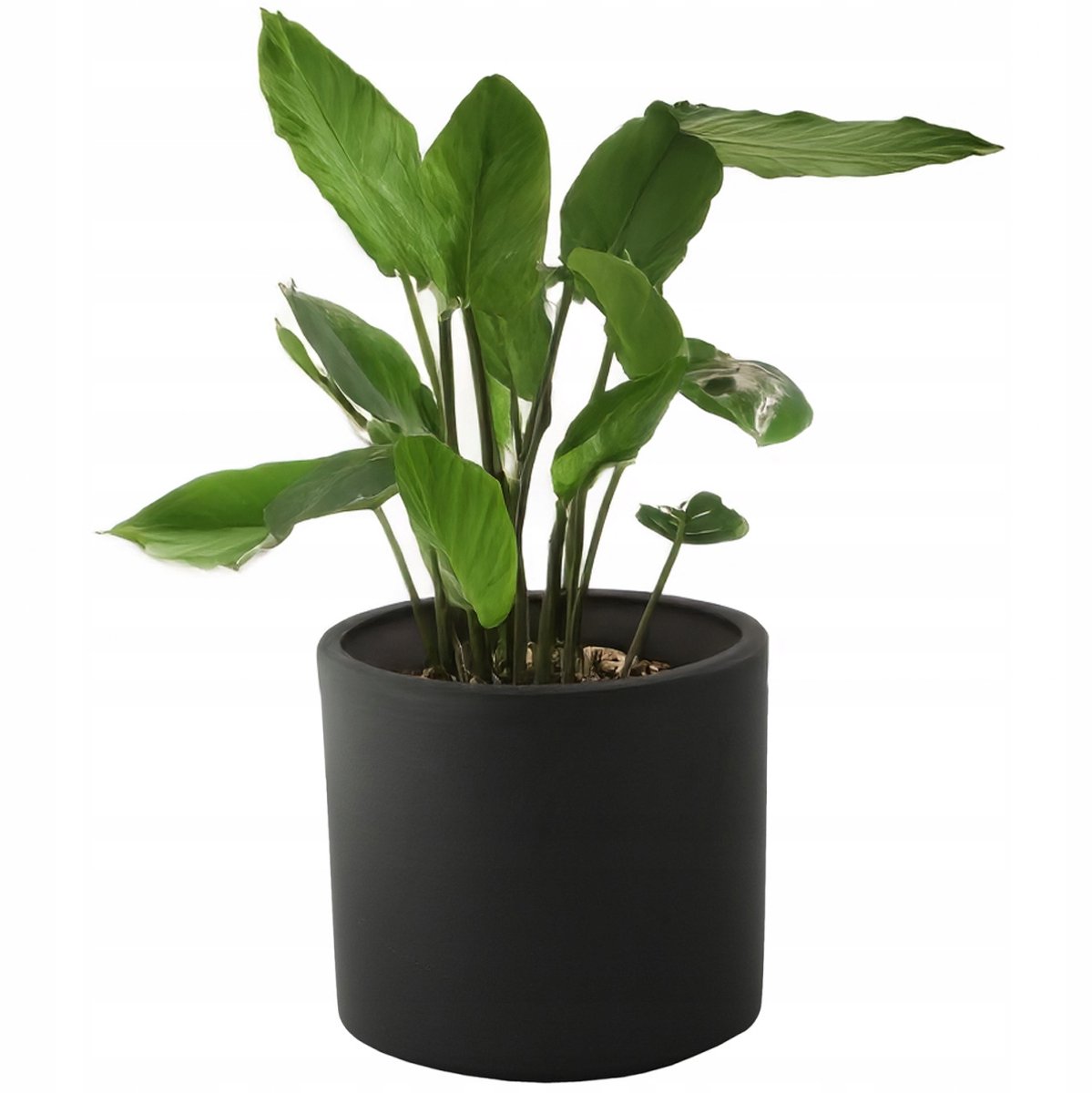 Zwarte Keramische Pot Maria 14cm - Stijlvol & Modern