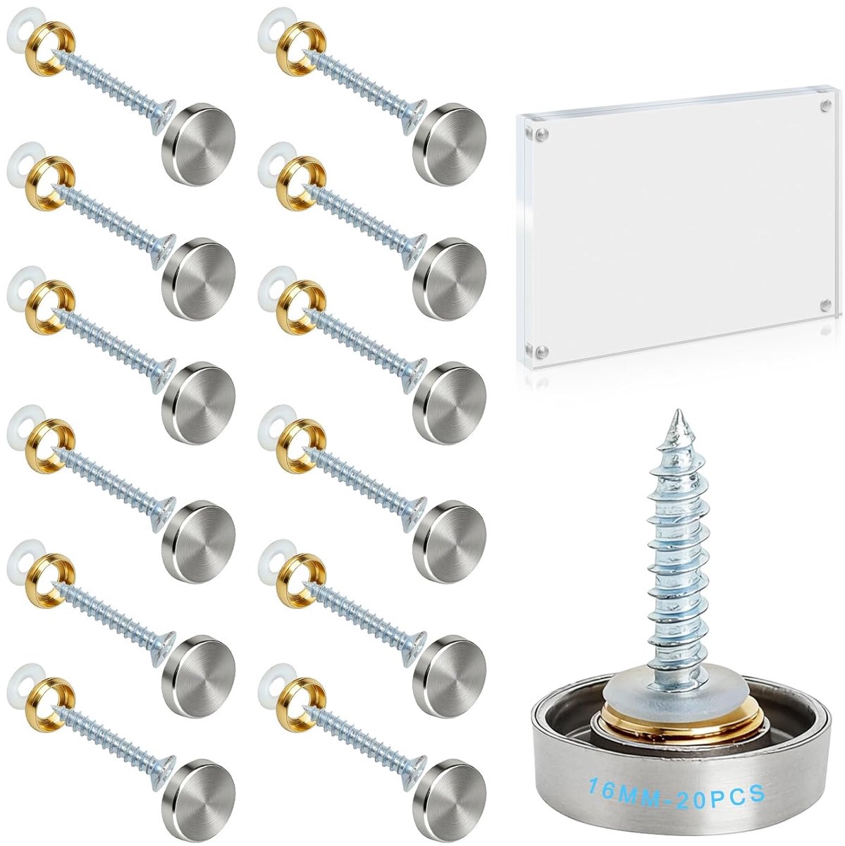 Decoratieve schroeven 16 mm - RVS met dekselcaps - Voor spiegelbevestiging - Duurzame montage - ShopVlot