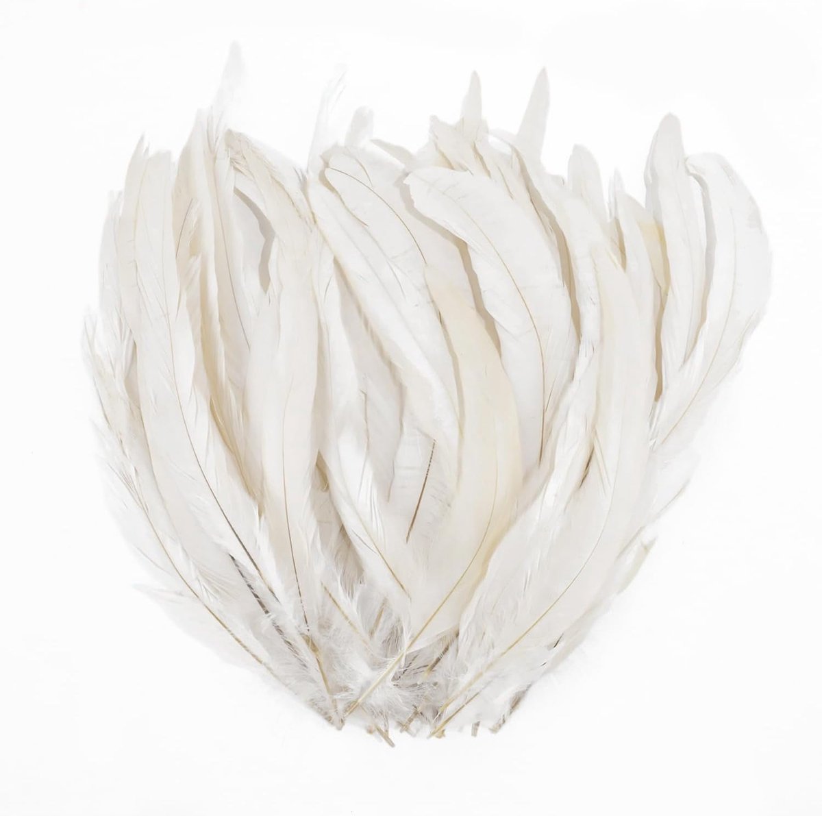 Veerenset 20 Stuks - Grote Witte Natuurlijke Hanenveren - 25-30 cm - Perfect voor Creatieve Klussen - ShopVlot