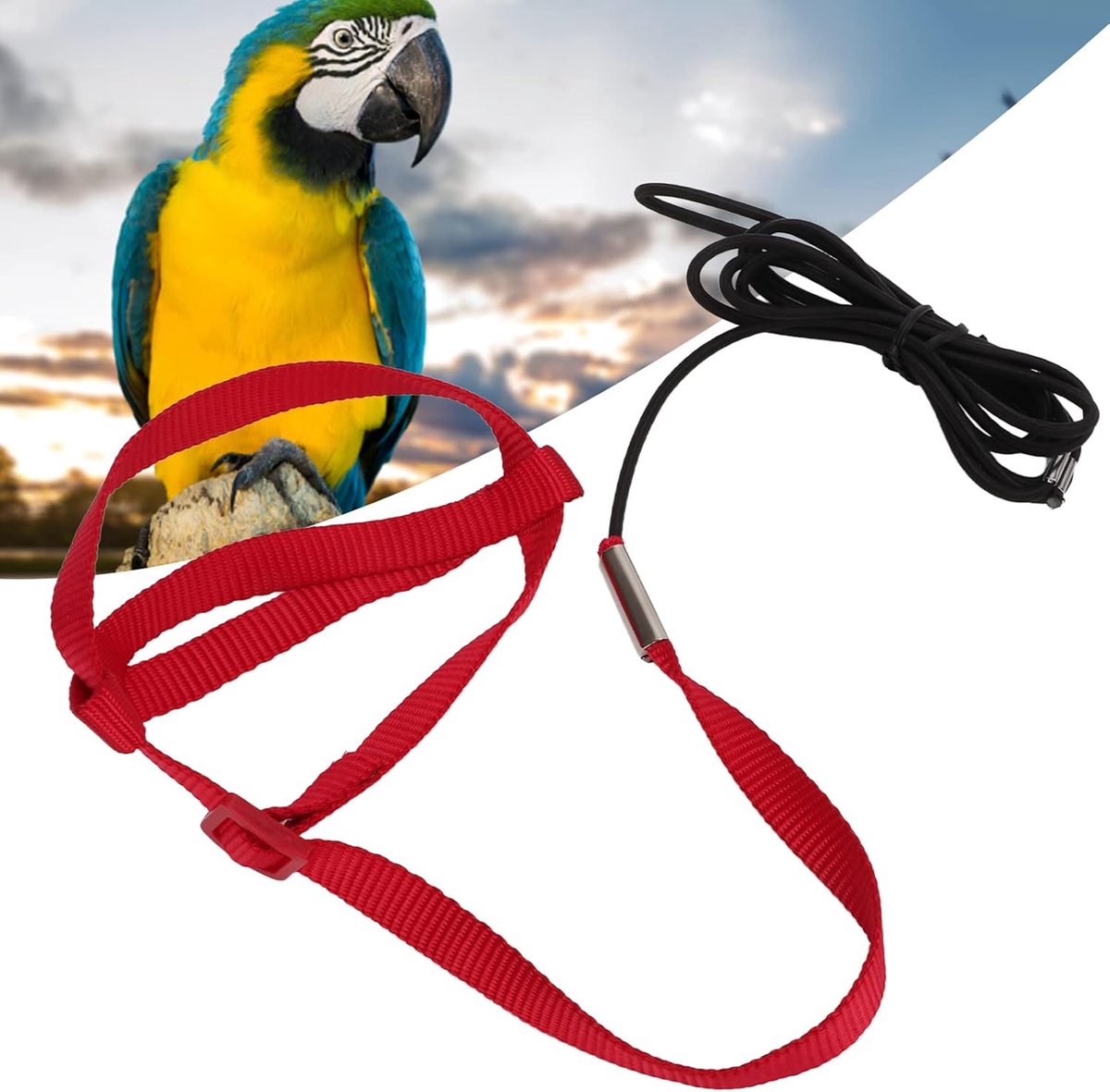 elastische papegaai harnas riem vogel riem bijtbestendig vlieger harnas verstelbare papegaai vliegende training touw met metalen haak nylon webbing voor (XS)