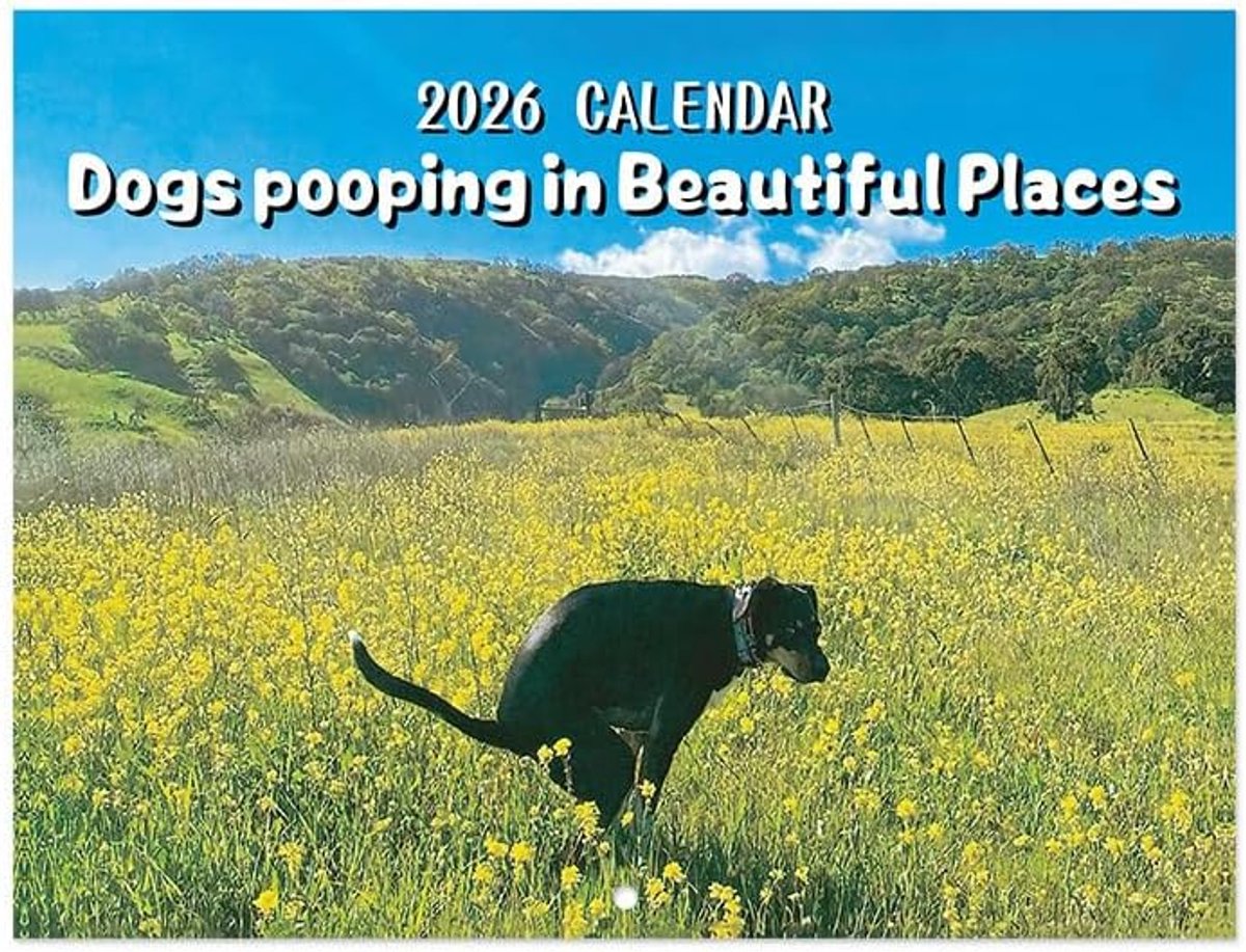 Hondenkalender 2026 - Muurkalender - Grappige honden in mooie plekken - Perfect voor hondenliefhebbers - ShopVlot