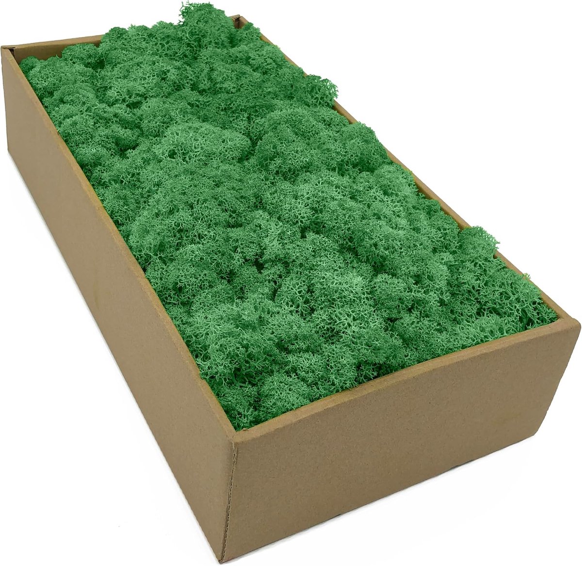 IJslands mos 100g - natuurlijke mos in 5 kleuren - duurzaam en elastisch - perfect voor decoraties - ShopVlot