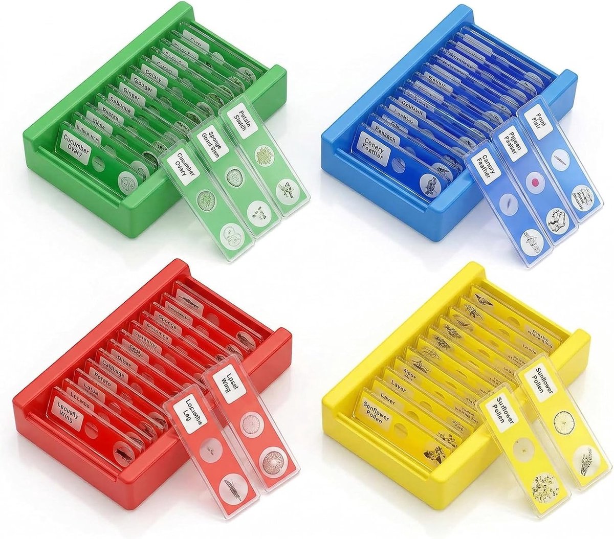48 stuks kunststof voorbereide microscopen, microscoop-accessoires, objectglaasmicroscoop, stereomicroscoop, folie - SnelShoppen