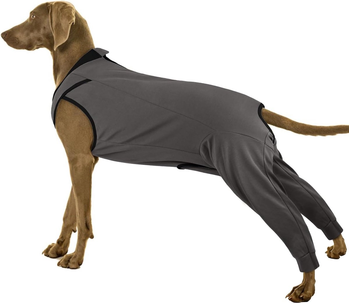 Body na operatie voor honden, Coton Body postoperatief na operaties, voor honden, vrouw, beschermend lichaam, chirurgisch beschermend pak voor benen (grijs, 3XL)