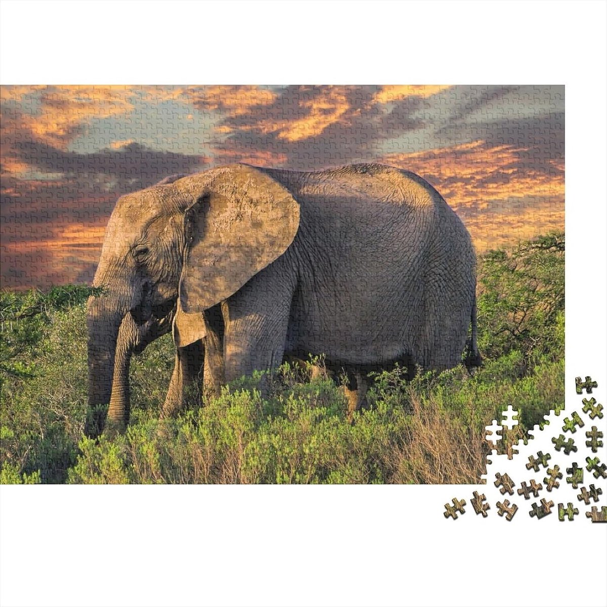 Puzzel Olifant - Canvas Puzzel - Ontspanning thuis - Zelf ontworpen - 1000 stukjes - Multicolor