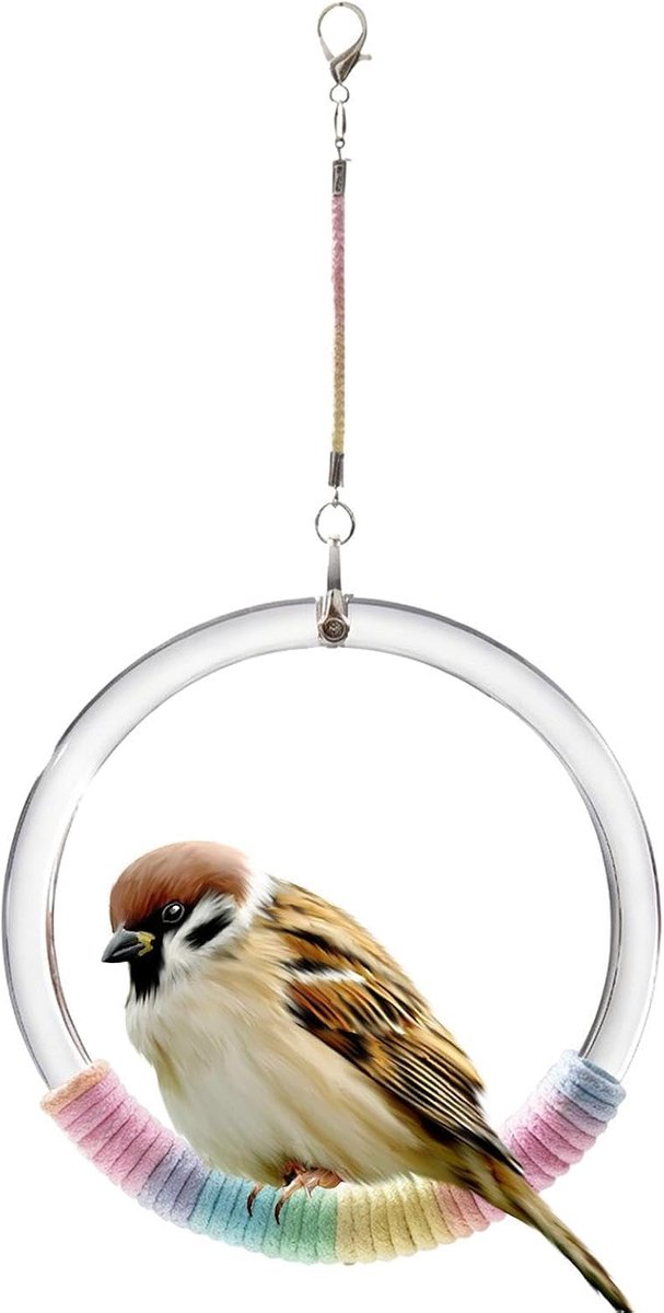 Vogel Schommel Speelgoed - Vogel Touw Zitstok - Vogel Vermaak - Eco-Vriendelijk PP Materiaal