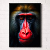Mandril Poster - Wildlife Portrait Collection - Dieren Posters - A2+ 43,2 x 61 cm