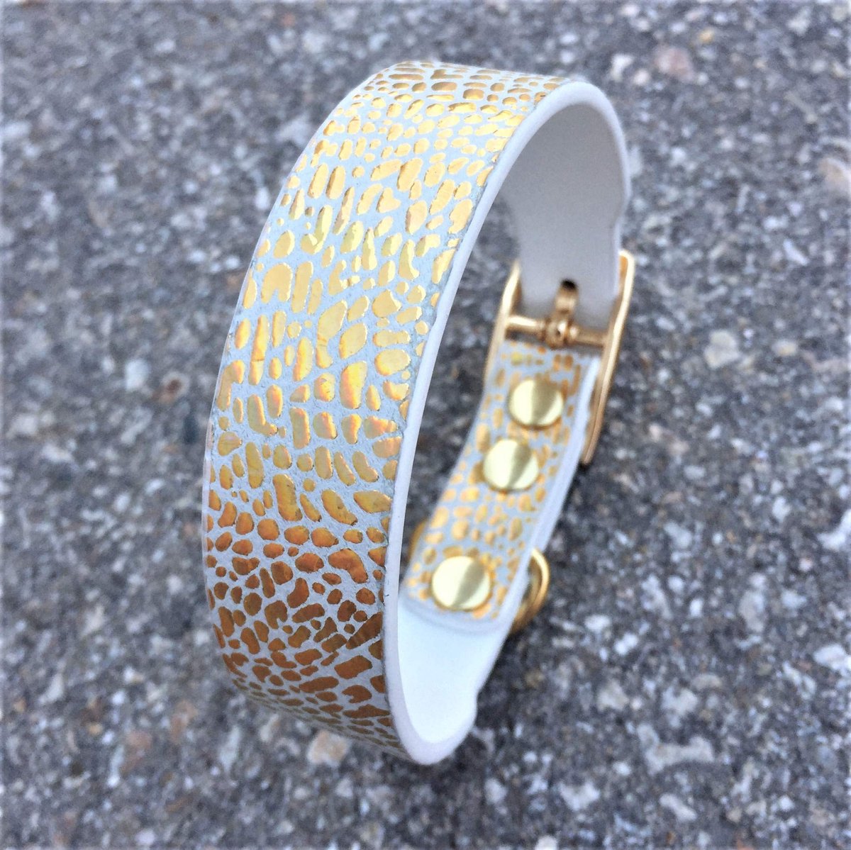 Solidchoice - Luxe Puppy Hondenhalsband van Leer, Geschikt voor Kleine Honden